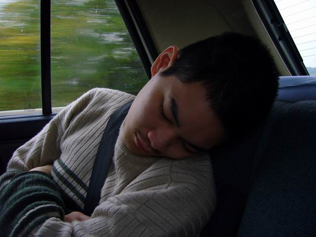 2006_Foxone_001